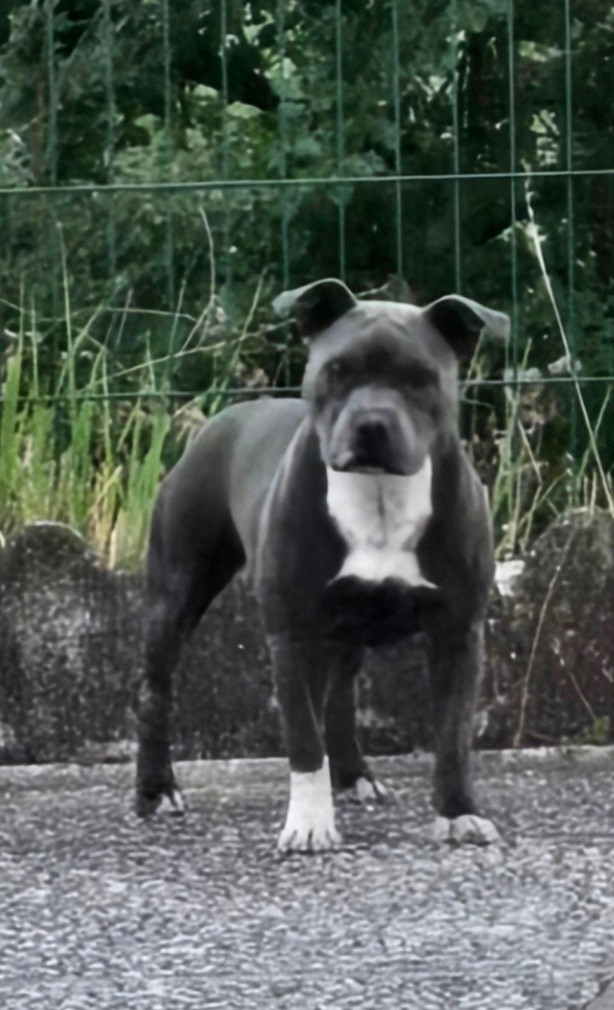 Vicky Des Gardiens De Malléa