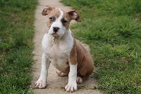 LILOU